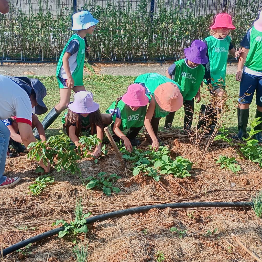 Prefeitura amplia conscientização ambiental com projeto agroecológico na Escola Municipal Professor João Kolenda