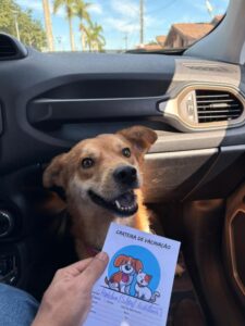 Escola Municipal do Residencial Primavera adota cão resgatado promovendo exemplo de cuidado e proteção animal
