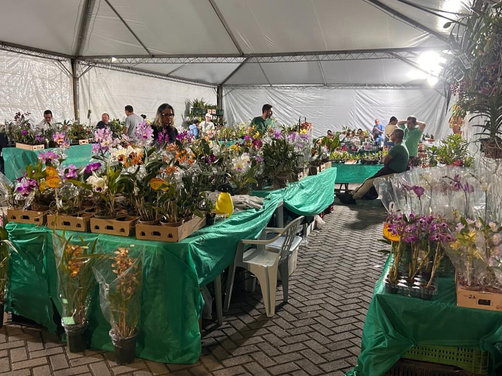 Exposição Nacional de Orquídeas integra programação dos 321 anos de Pinda
