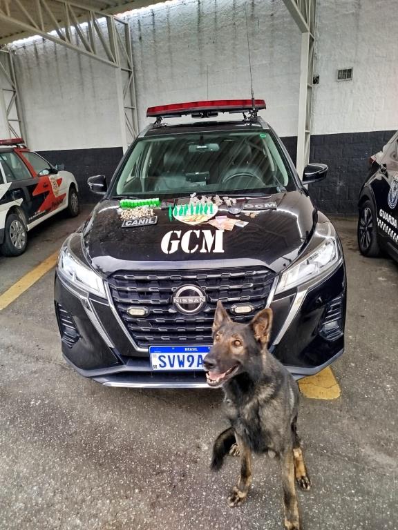 GCM apreende suspeitos de tráfico de drogas no bairro Santana