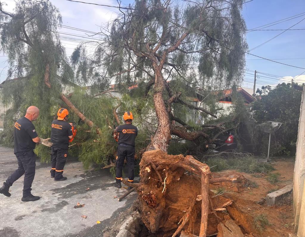 Chuva forte mobiliza equipes para atender ocorrências em Pindamonhangaba