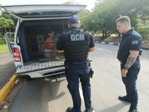 Patrulhamento preventivo da GCM resulta em prisão e apreensão de substância suspeita no Campos Maia
