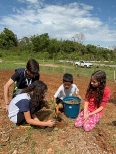 Semana da Árvore promove ações de educação ambiental e sustentabilidade em Pinda