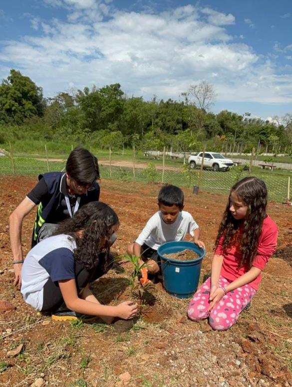 Semana da Árvore promove ações de educação ambiental e sustentabilidade em Pinda